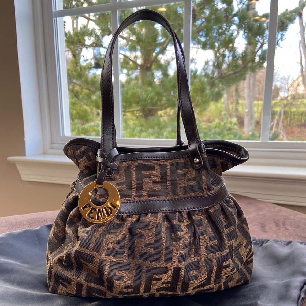 Fendi mini special occasion bag